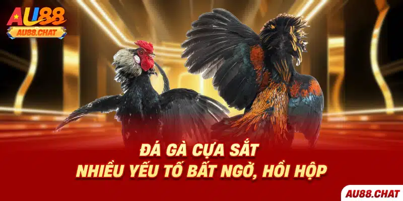 Đá gà cựa sắt nhiều yếu tố bất ngờ, hồi hộp